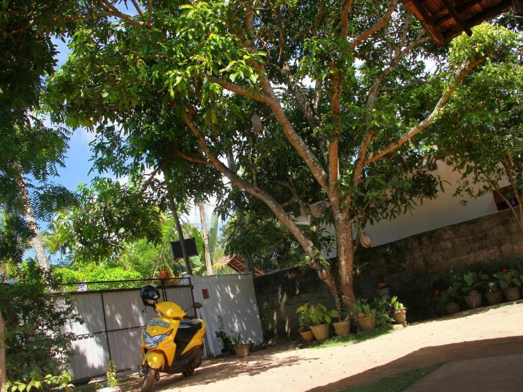 מיריסה Celine'S Home מראה חיצוני תמונה